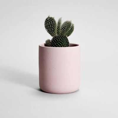 Pink_Concrete_front-600×400
